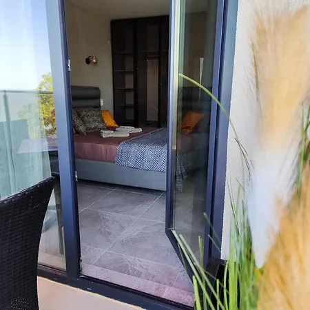 студио водолей *