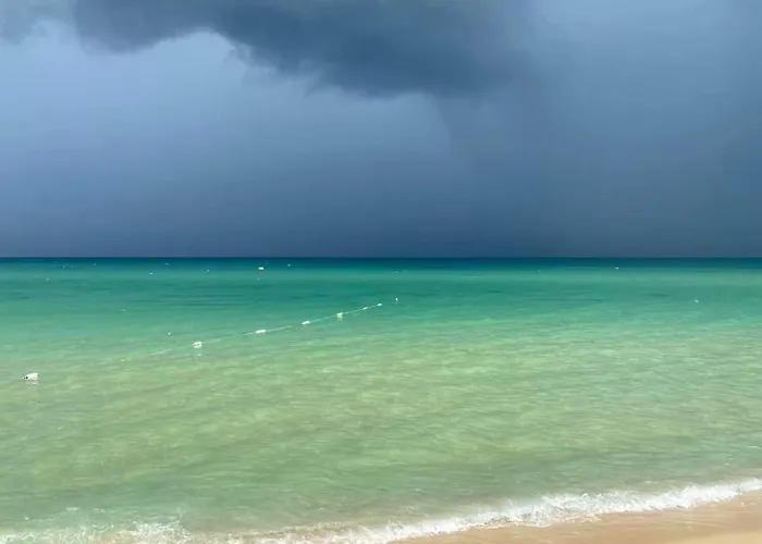 студио водолей *